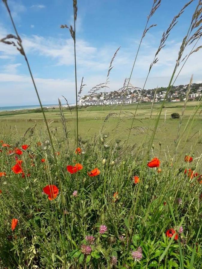 Maison Entiere La Longe'Yeres Saint-Martin-le-Gaillard Eksteriør bilde
