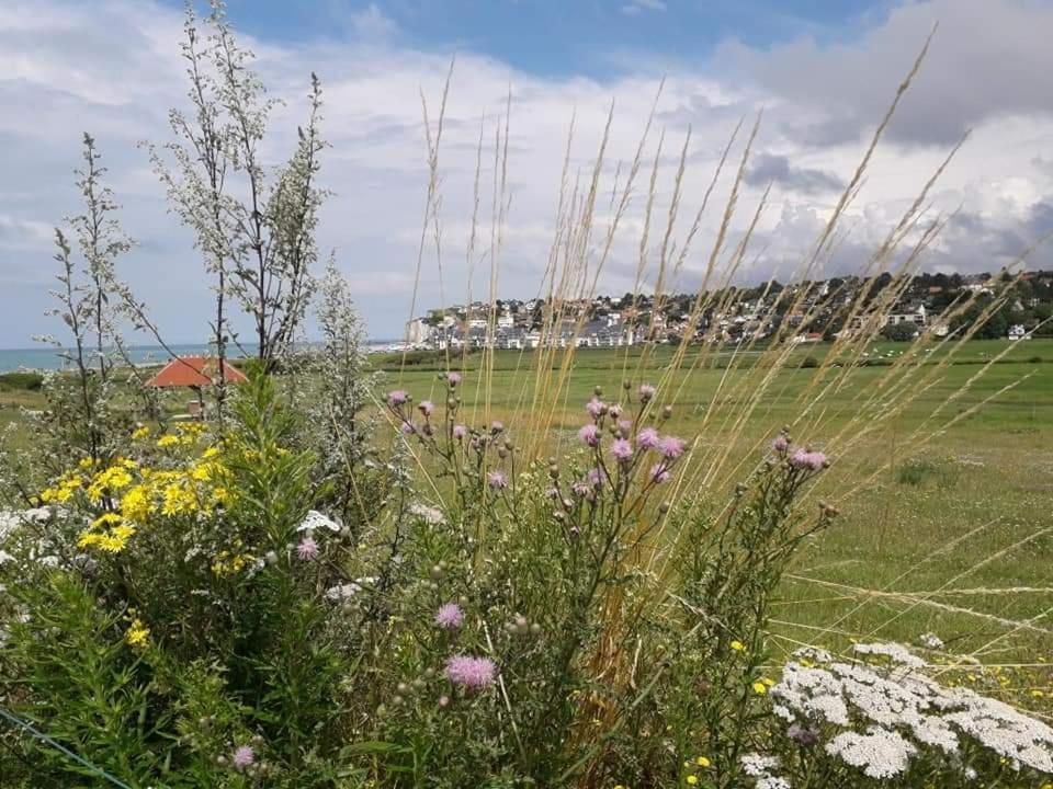 Maison Entiere La Longe'Yeres Saint-Martin-le-Gaillard Eksteriør bilde